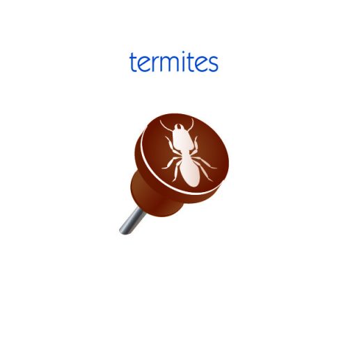 Indicateur Termites