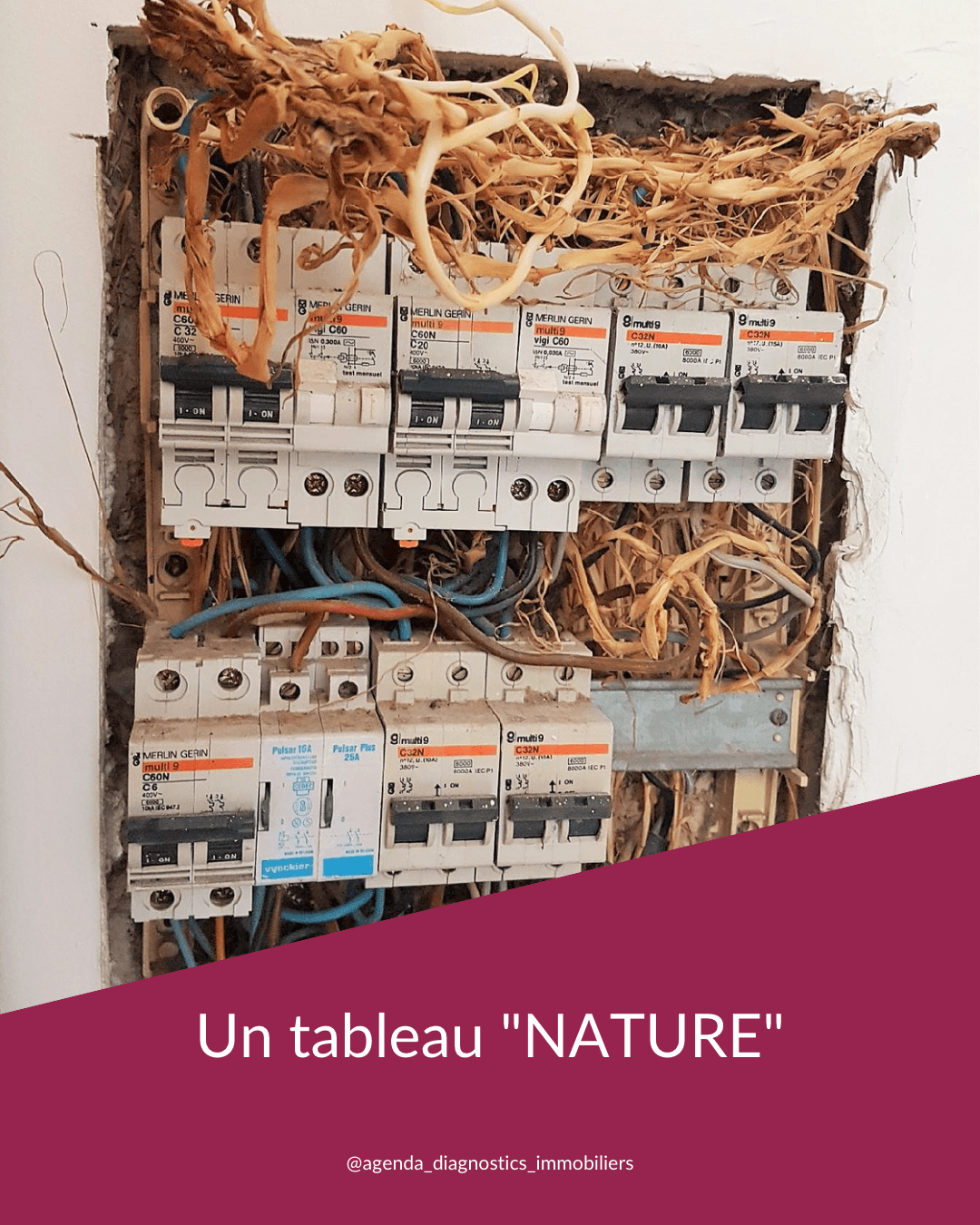 News placeholder image